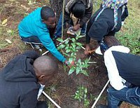 Our Magoebaskloof science camp adventure